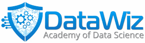 DataWiz logo